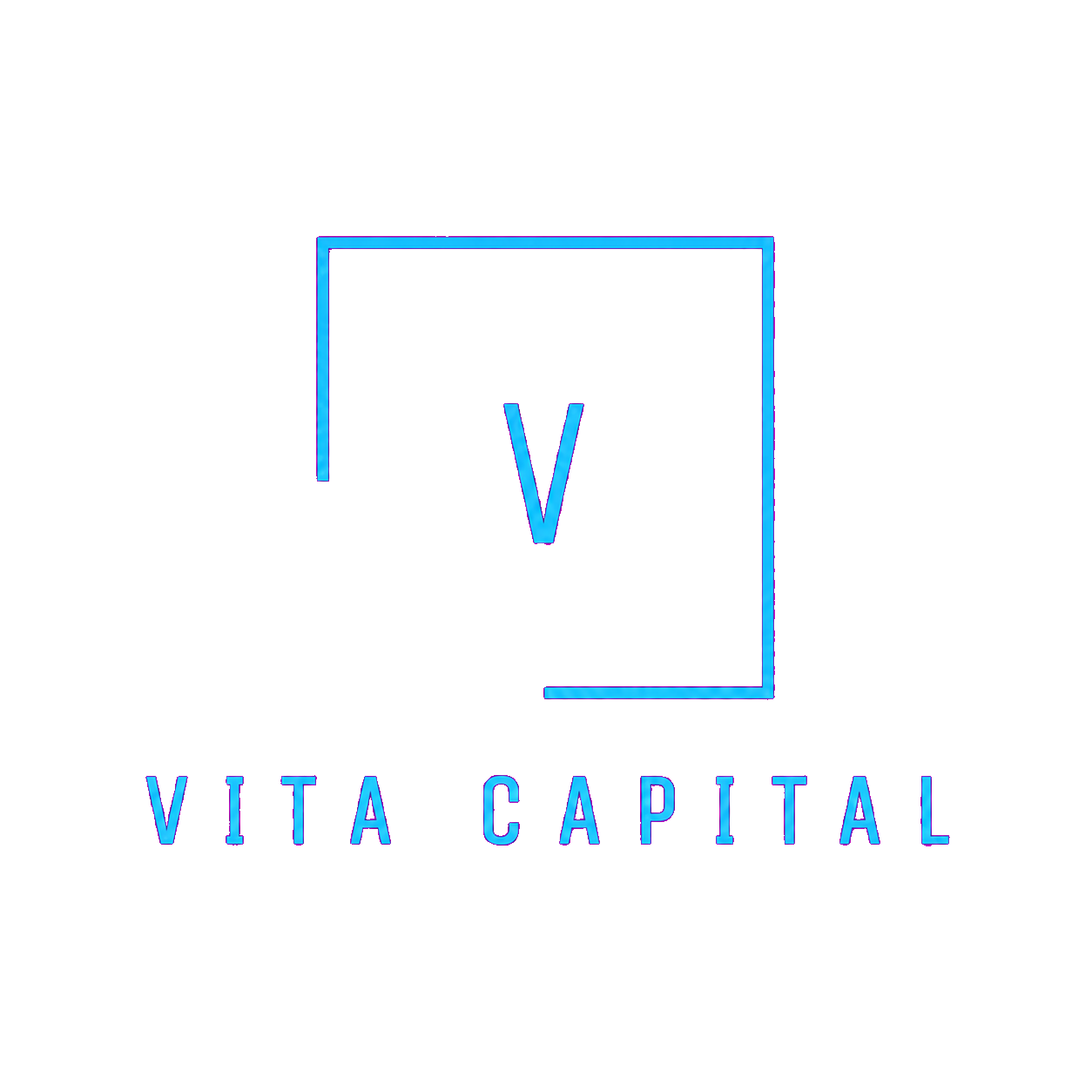 Logo VITA CAPITAL
